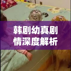 韩剧幼真剧情深度解析（最新版）