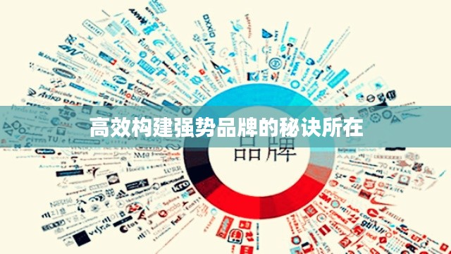 高效构建强势品牌的秘诀所在