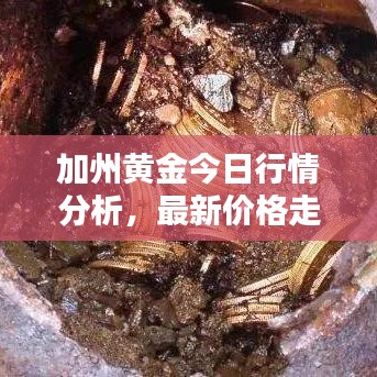加州黄金今日行情分析，最新价格走势一网打尽！