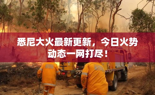 悉尼大火最新更新，今日火势动态一网打尽！