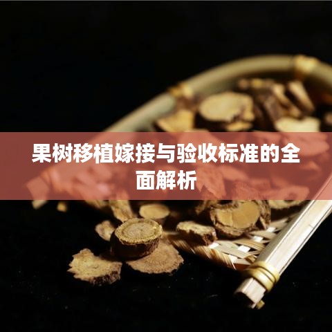 闻所未闻