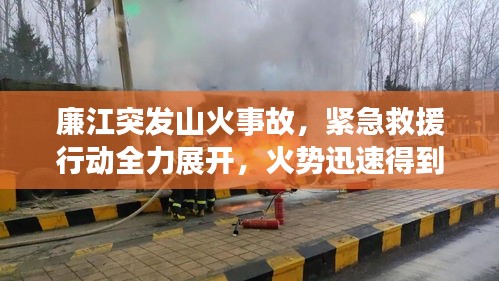 廉江突发山火事故，紧急救援行动全力展开，火势迅速得到控制