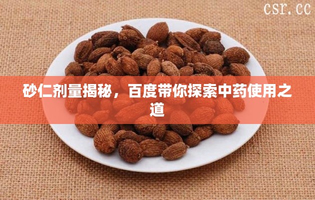 砂仁剂量揭秘，百度带你探索中药使用之道