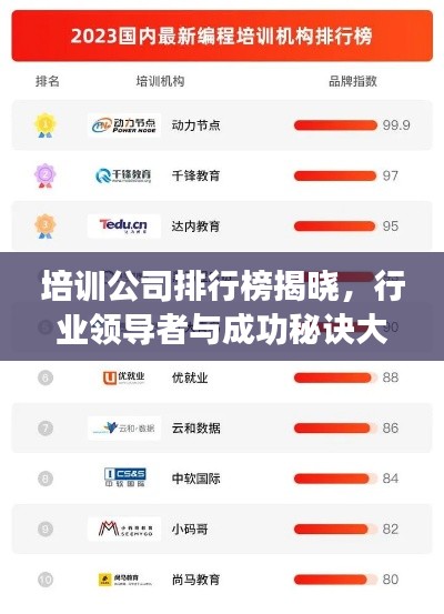 培训公司排行榜揭晓，行业领导者与成功秘诀大揭秘！
