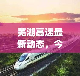 芜湖高速最新动态，今日消息一览