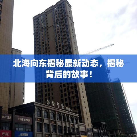 北海向东揭秘最新动态，揭秘背后的故事！