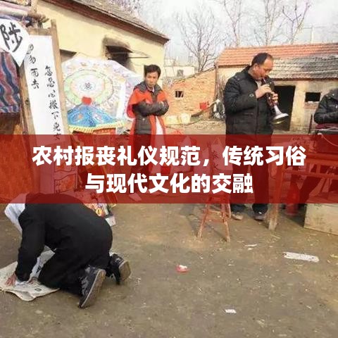 交货现场 第13页