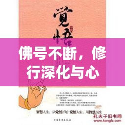 佛号不断，修行深化与心灵净化之旅