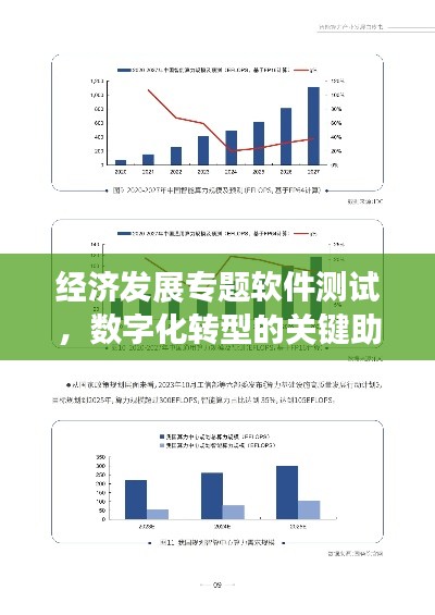 经济发展专题软件测试，数字化转型的关键助力点
