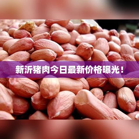 新沂猪肉今日最新价格曝光！