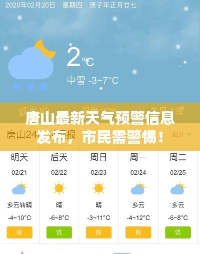 斫琱为朴