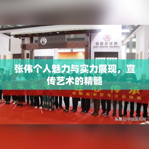 张伟个人魅力与实力展现，宣传艺术的精髓