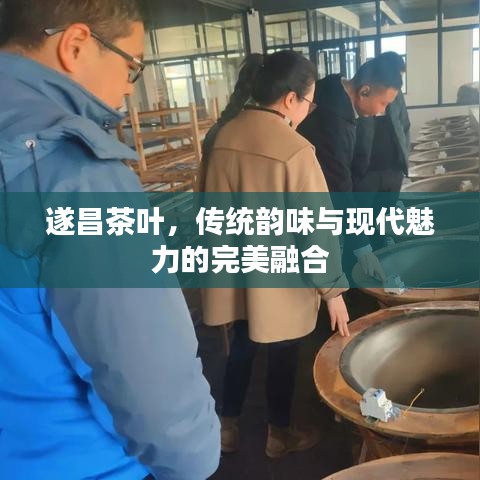 公司环境 第9页
