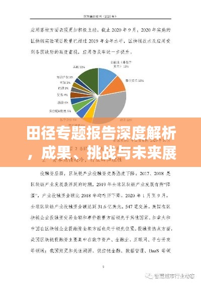 田径专题报告深度解析，成果、挑战与未来展望