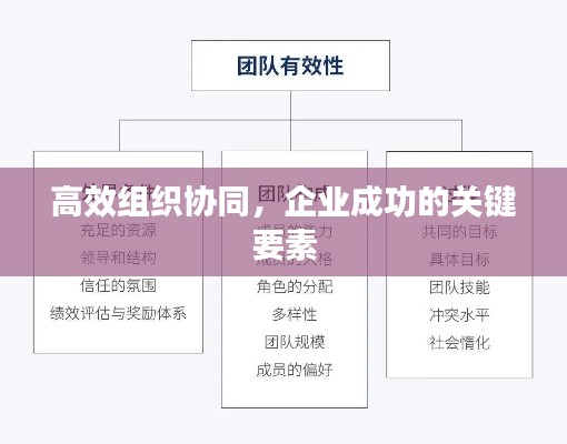 高效组织协同，企业成功的关键要素