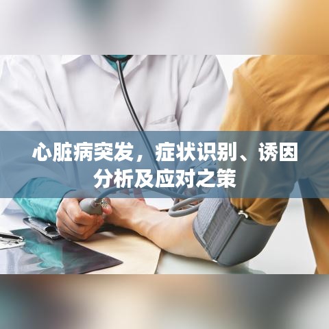 公司环境 第6页