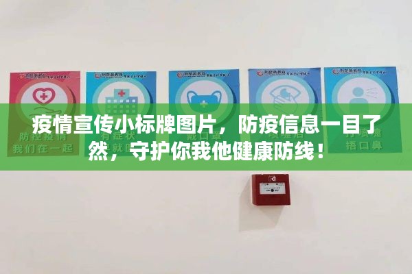 虫书鸟篆
