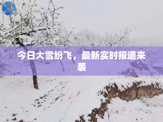 交货现场 第4页