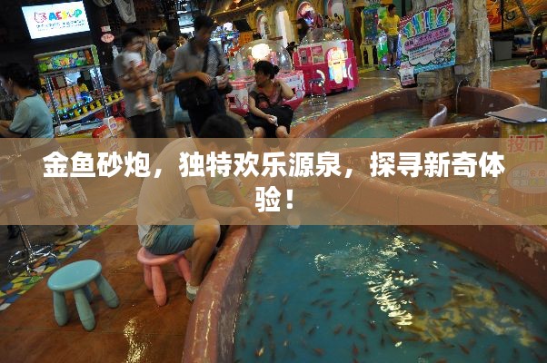 衣不兼彩