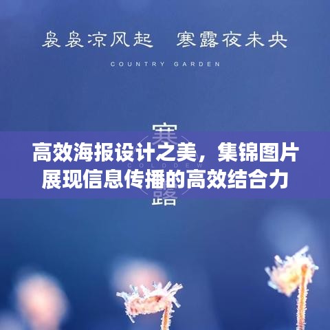 惨淡经营