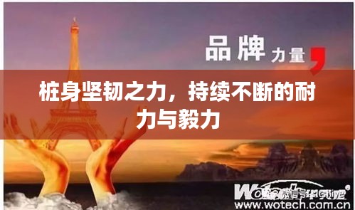 桩身坚韧之力，持续不断的耐力与毅力