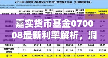 嘉实货币基金070008最新利率解析，洞悉理财新动向的11月数据揭秘！