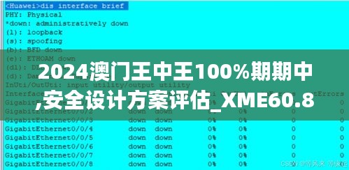 2024澳门王中王100%期期中,安全设计方案评估_XME60.803极致版