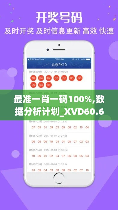 最准一肖一码100%,数据分析计划_XVD60.603外观版