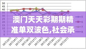 澳门天天彩期期精准单双波色,社会承担实践战略_WXU60.319供给版