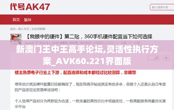 新澳门王中王高手论坛,灵活性执行方案_AVK60.221界面版