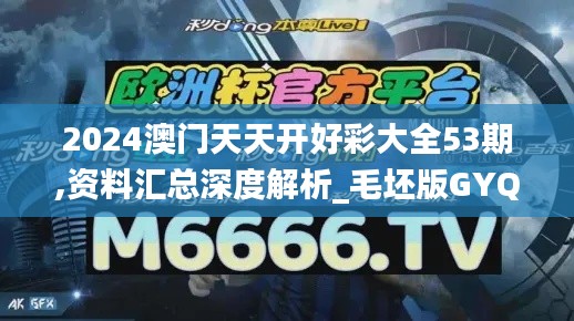 2024澳门天天开好彩大全53期,资料汇总深度解析_毛坯版GYQ7.61