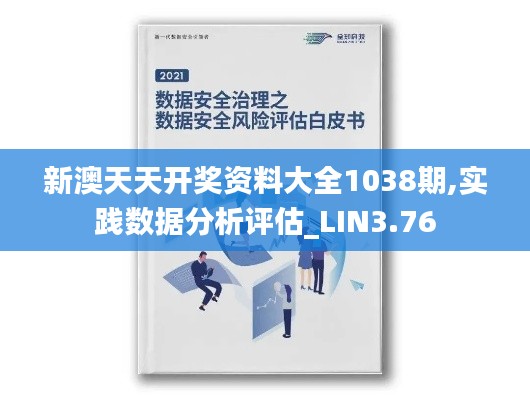 新澳天天开奖资料大全1038期,实践数据分析评估_LIN3.76