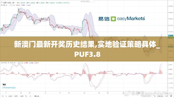 新澳门最新开奖历史结果,实地验证策略具体_PUF3.8