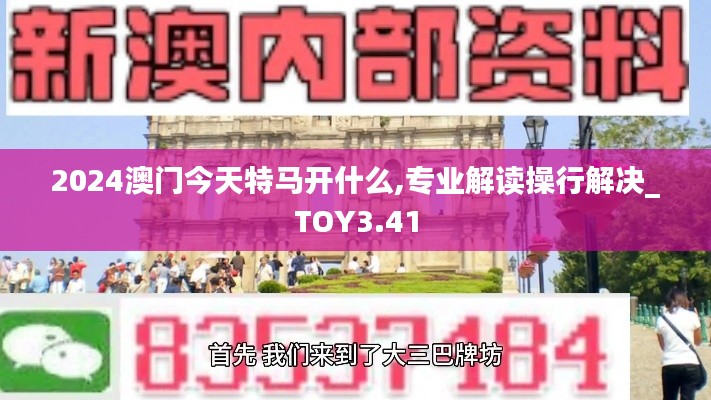 2024澳门今天特马开什么,专业解读操行解决_TOY3.41