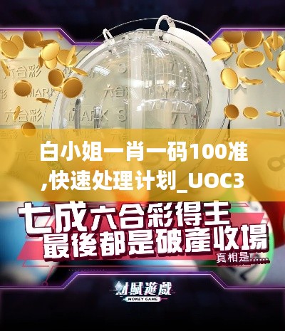 白小姐一肖一码100准,快速处理计划_UOC3.27