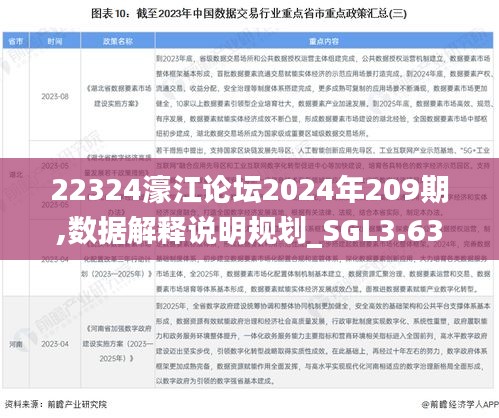 22324濠江论坛2024年209期,数据解释说明规划_SGL3.63