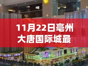 11月22日亳州大唐国际城最新消息，温馨十一月，亳州大唐国际城的日常奇遇与深厚友情