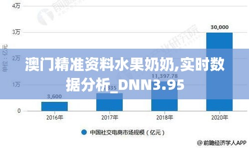 澳门精准资料水果奶奶,实时数据分析_DNN3.95