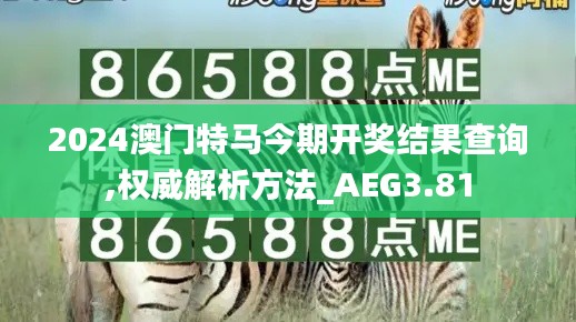 2024澳门特马今期开奖结果查询,权威解析方法_AEG3.81