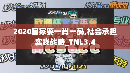 2020管家婆一肖一码,社会承担实践战略_TNL3.4