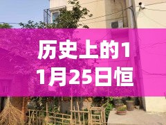 历史上的11月25日恒信永祥苑房价深度解析，特性、竞品对比与用户体验测评报告揭秘最新房价动态