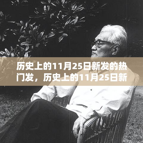 历史上的11月25日新发的热门发，历史上的11月25日新发的热门产品深度评测，特性、体验、竞品对比及用户群体分析