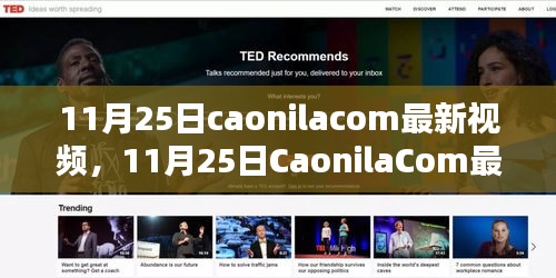 11月25日caonilacom最新视频，11月25日CaonilaCom最新视频，深度探讨其内容与影响