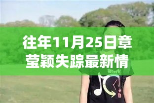 往年11月25日章莹颖失踪最新情况，章莹颖失踪周年之际，一场自然之旅的呼唤，寻找内心的平和与宁静