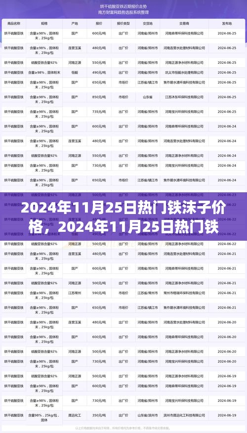 2024年11月25日热门铁沫子价格走势分析