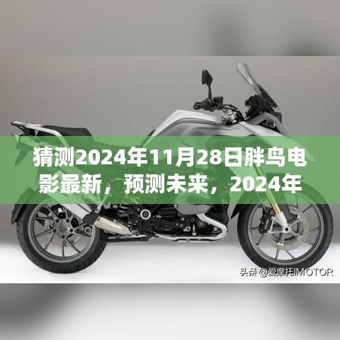 2024年11月28日胖鸟电影新趋势与热门影片猜想