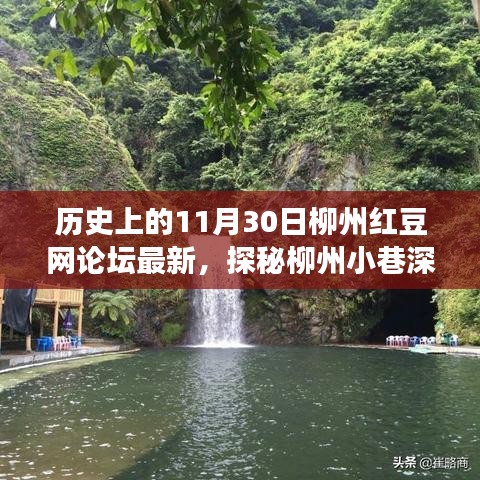 历史上的11月30日柳州红豆网论坛最新，探秘柳州小巷深处的红豆情缘，一家隐藏版特色小店的传奇故事