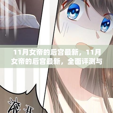 全面评测与深度介绍，11月女帝的后宫最新动态