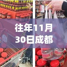 往年11月30日成都郫县疫情深度解析与应对指南，全方位了解与应对疫情挑战