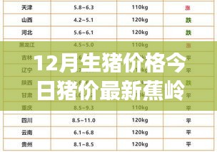 最新蕉岭猪价动态，12月生猪价格走势分析与探讨